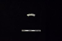 藏品(陶環)的圖片